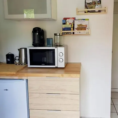 Apartment Le First Auversois Charmant Studio Avec Jardinet *